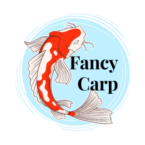 Fancy carp (1)